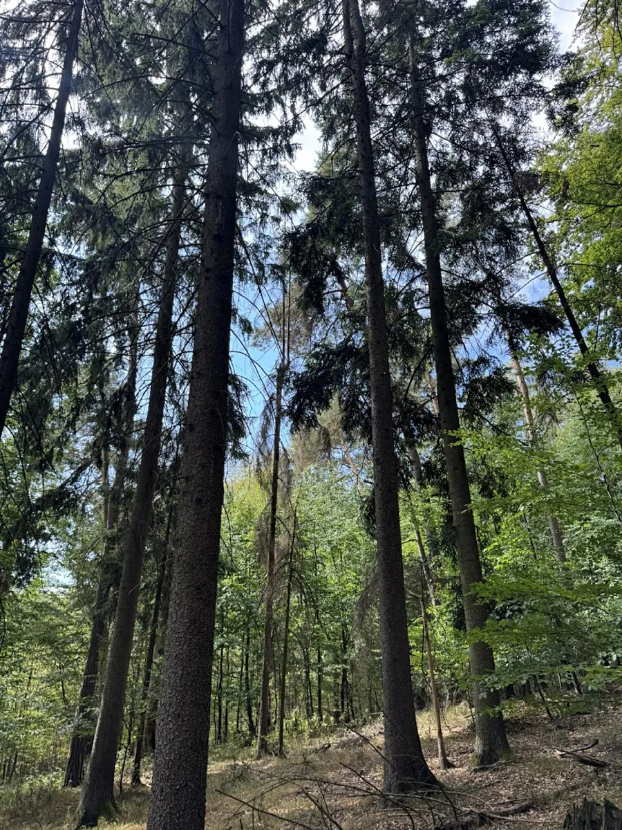 Fotka 8 z 16